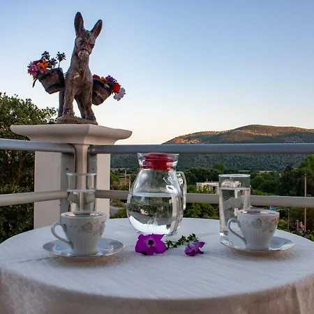 Tsoutsis Διαμέρισμα